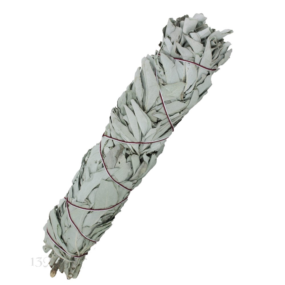 White Sage Smudging Sticks - Dried